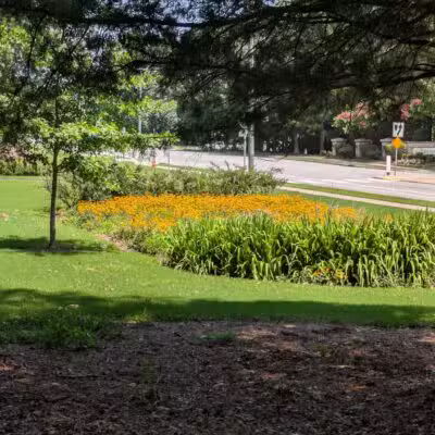 Spring Forest Road Park - Raleigh, NC