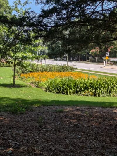 Spring Forest Road Park - Raleigh, NC