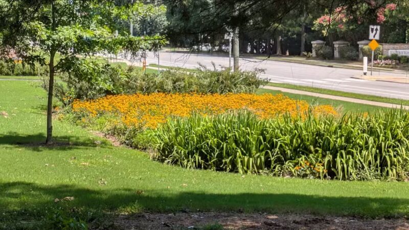 Spring Forest Road Park - Raleigh, NC