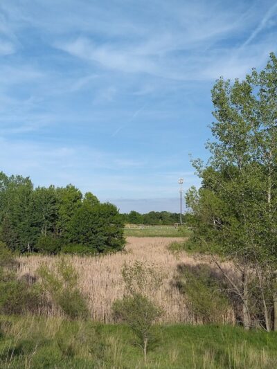 Alpine Dog Park - Ramsey, MN