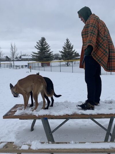 Alpine Dog Park - Ramsey, MN
