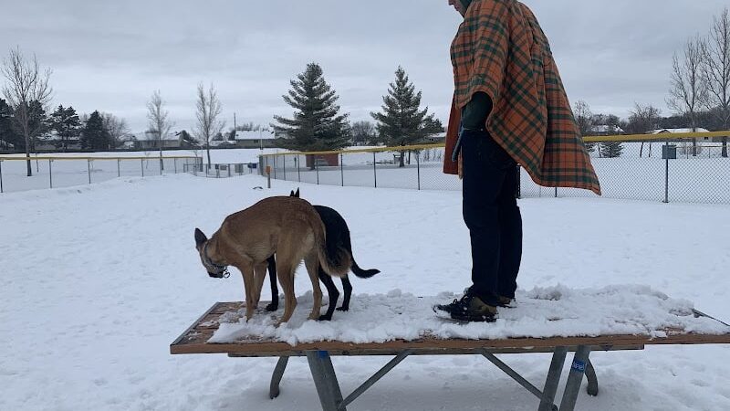 Alpine Dog Park - Ramsey, MN