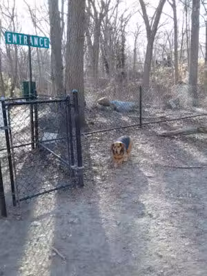 Goldstein Open Space - Randolph, MA