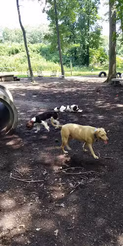 Randolph Dog Park - Randolph, MA