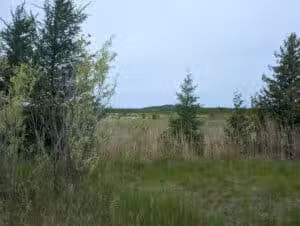 Skegemog Lake Wildlife Area North Shore Pathway Trail Head - Rapid City,