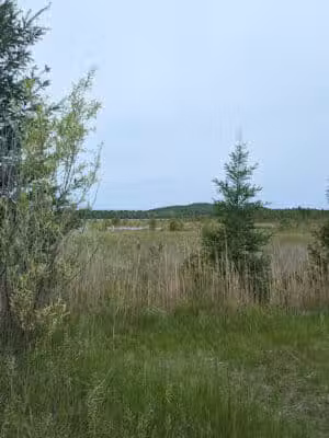 Skegemog Lake Wildlife Area North Shore Pathway Trail Head - Rapid City,