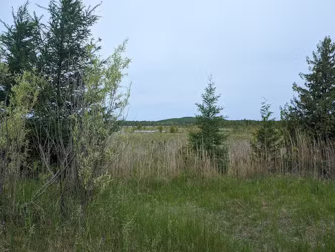 Skegemog Lake Wildlife Area North Shore Pathway Trail Head - Rapid City,