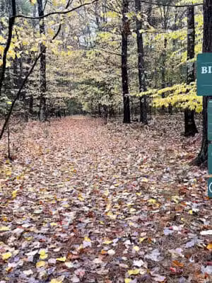 Torch River Ridge Nature Preserve - Rapid City,
