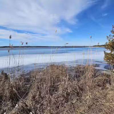 Skegemog Lake Wildlife Area North Shore Pathway Trail Head - Rapid City,