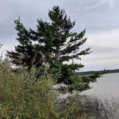 Skegemog Lake Wildlife Area North Shore Pathway Trail Head - Rapid City,
