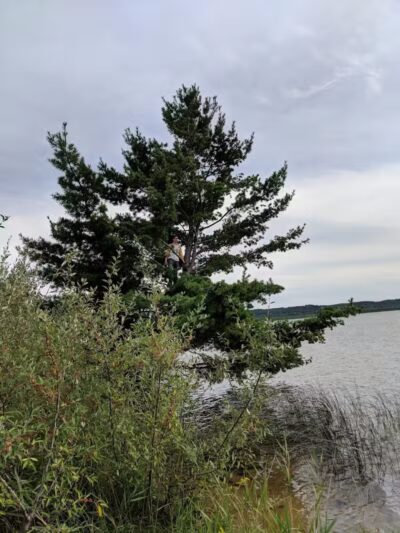 Skegemog Lake Wildlife Area North Shore Pathway Trail Head - Rapid City,