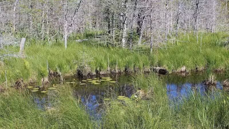 Skegemog Lake Wildlife Area North Shore Pathway Trail Head - Rapid City,