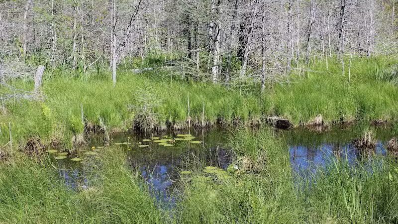 Skegemog Lake Wildlife Area North Shore Pathway Trail Head - Rapid City,