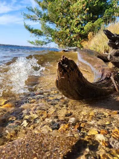 Skegemog Lake Wildlife Area North Shore Pathway Trail Head - Rapid City,