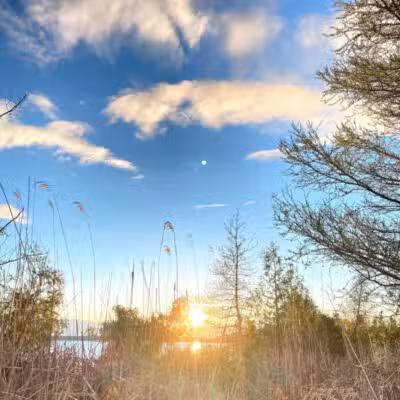 Skegemog Lake Wildlife Area North Shore Pathway Trail Head - Rapid City,