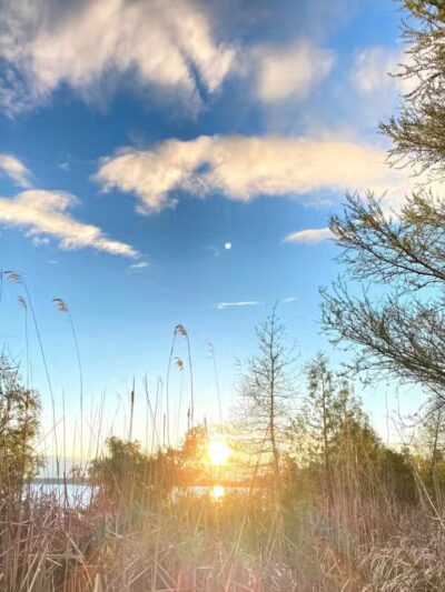 Skegemog Lake Wildlife Area North Shore Pathway Trail Head - Rapid City,