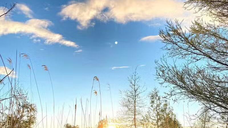 Skegemog Lake Wildlife Area North Shore Pathway Trail Head - Rapid City,