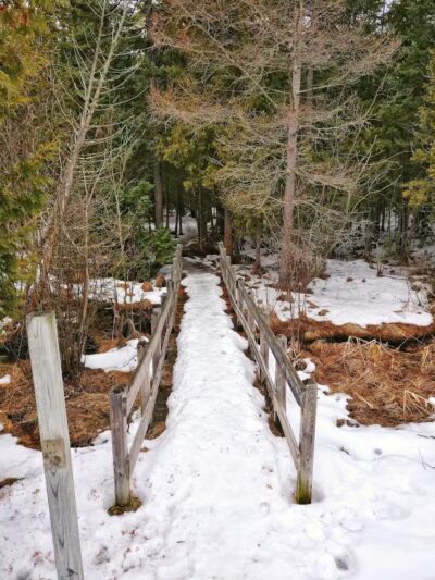 Skegemog Lake Wildlife Area North Shore Pathway Trail Head - Rapid City,