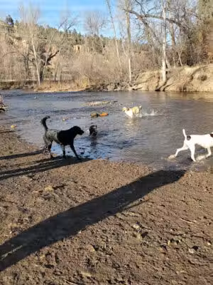 Braeburn Dog Park & Ice Rink - Rapid City, SD