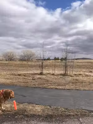 Parking for Robbinsdale Dog Park - Rapid City, SD