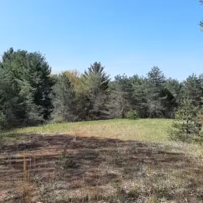 Torch River Ridge Nature Preserve - Rapid City,