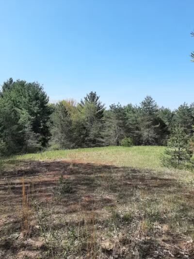 Torch River Ridge Nature Preserve - Rapid City,