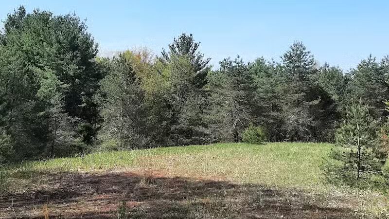 Torch River Ridge Nature Preserve - Rapid City,