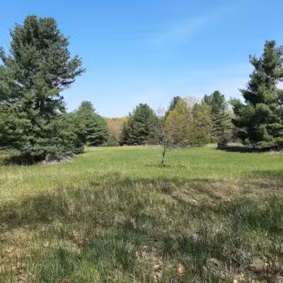 Torch River Ridge Nature Preserve - Rapid City,