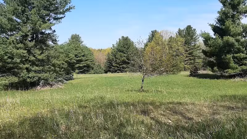 Torch River Ridge Nature Preserve - Rapid City,