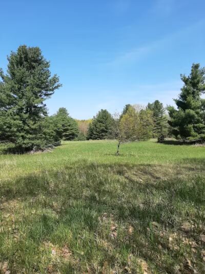 Torch River Ridge Nature Preserve - Rapid City,