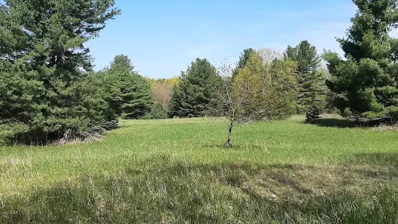 Torch River Ridge Nature Preserve - Rapid City,