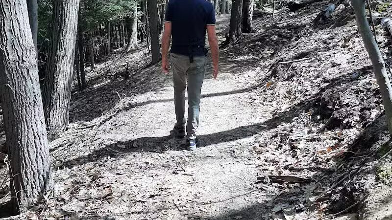 Torch River Ridge Nature Preserve - Rapid City,