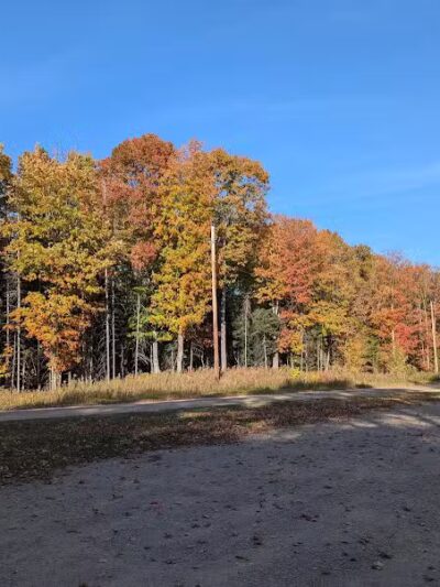 Rapid River Falls Park - Rapid River,