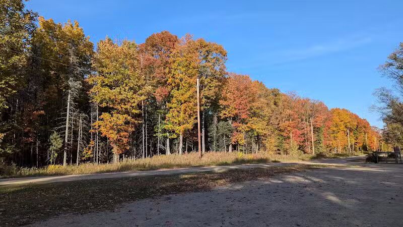 Rapid River Falls Park - Rapid River,