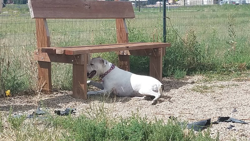 Raton dog park - Raton, NM