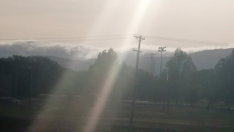 Raton dog park - Raton, NM