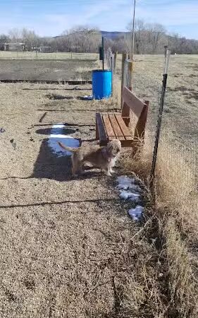 Raton dog park - Raton, NM