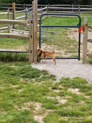 West Branch Dog Park - Ravenna,