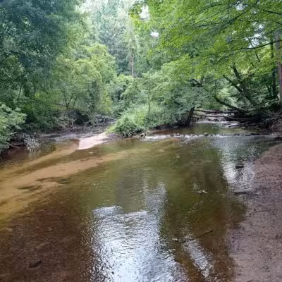 Thatcher Park - Ravenna,