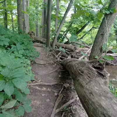 Thatcher Park - Ravenna,