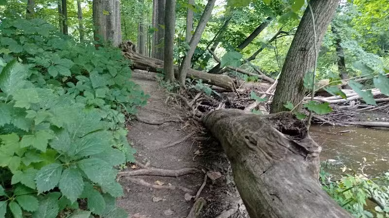 Thatcher Park - Ravenna,