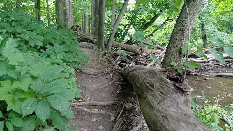 Thatcher Park - Ravenna,