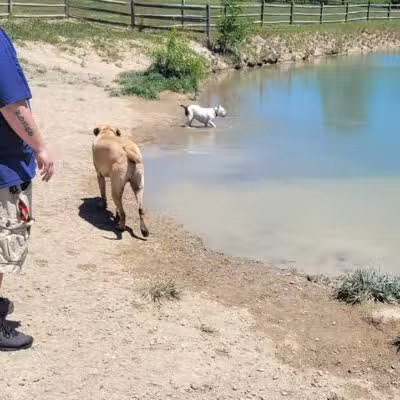 West Branch Dog Park - Ravenna,