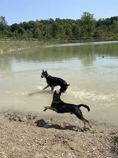 West Branch Dog Park - Ravenna,
