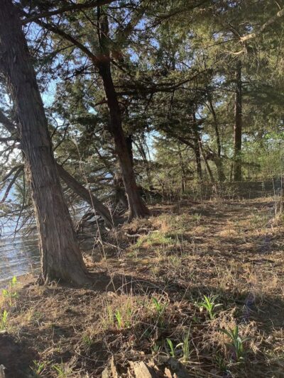 Lyon State Fishing Lake and Wildlife Area - Reading, KS