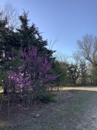 Lyon State Fishing Lake and Wildlife Area - Reading, KS