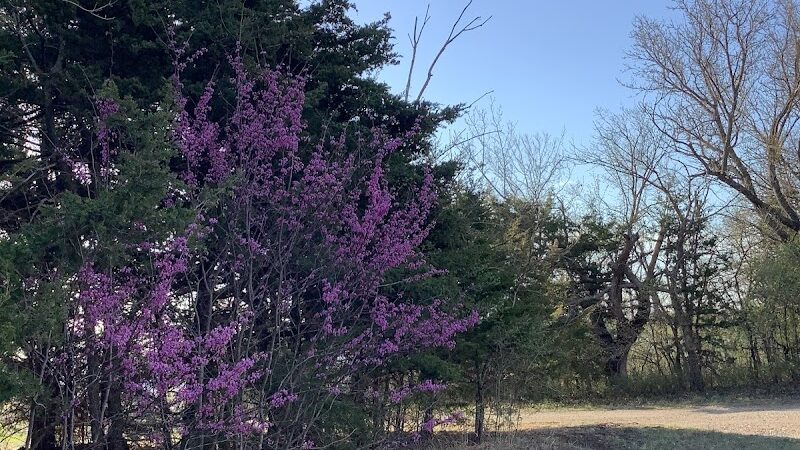 Lyon State Fishing Lake and Wildlife Area - Reading, KS