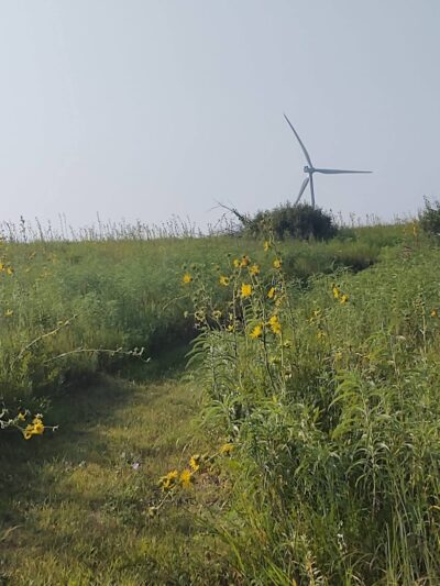 Lyon State Fishing Lake and Wildlife Area - Reading, KS