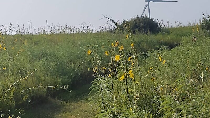Lyon State Fishing Lake and Wildlife Area - Reading, KS