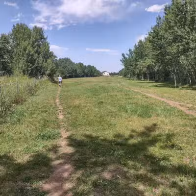 Double Ditch Dog Park - Red Lodge, MT